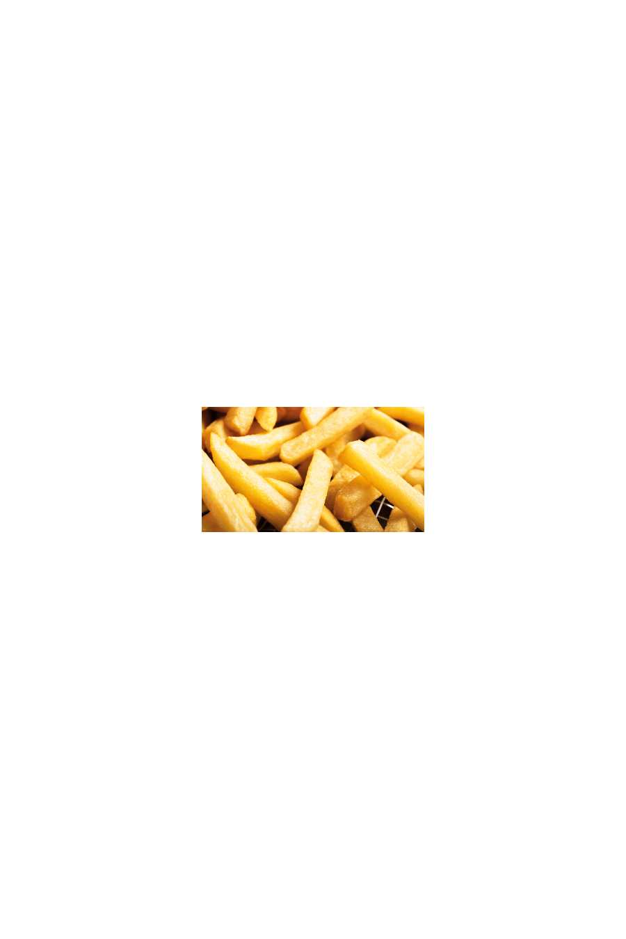 CombiFry 1/1 GN (325 x 530 mm)
